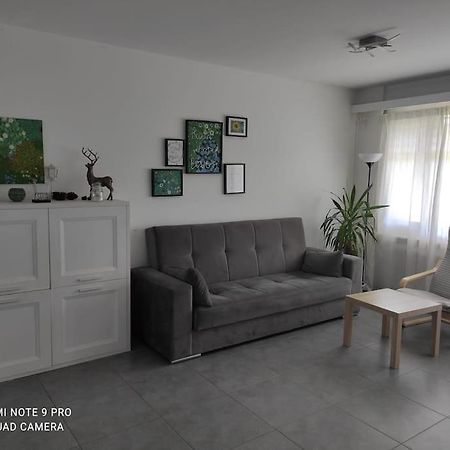 Green Apartment Ponte Capriasca Exterior foto
